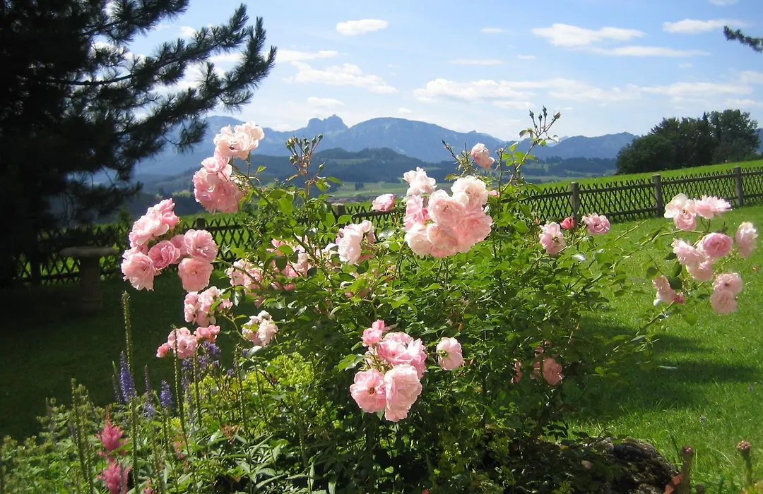 Pension Heim-1